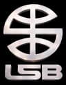 Liga Superior de Baloncesto